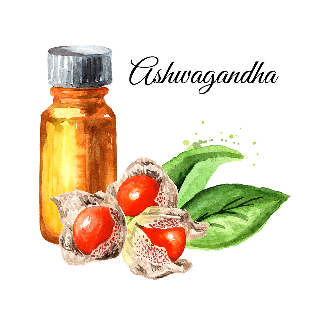 Illustration featuring Ashwagandha herbal oil bottle and the herb