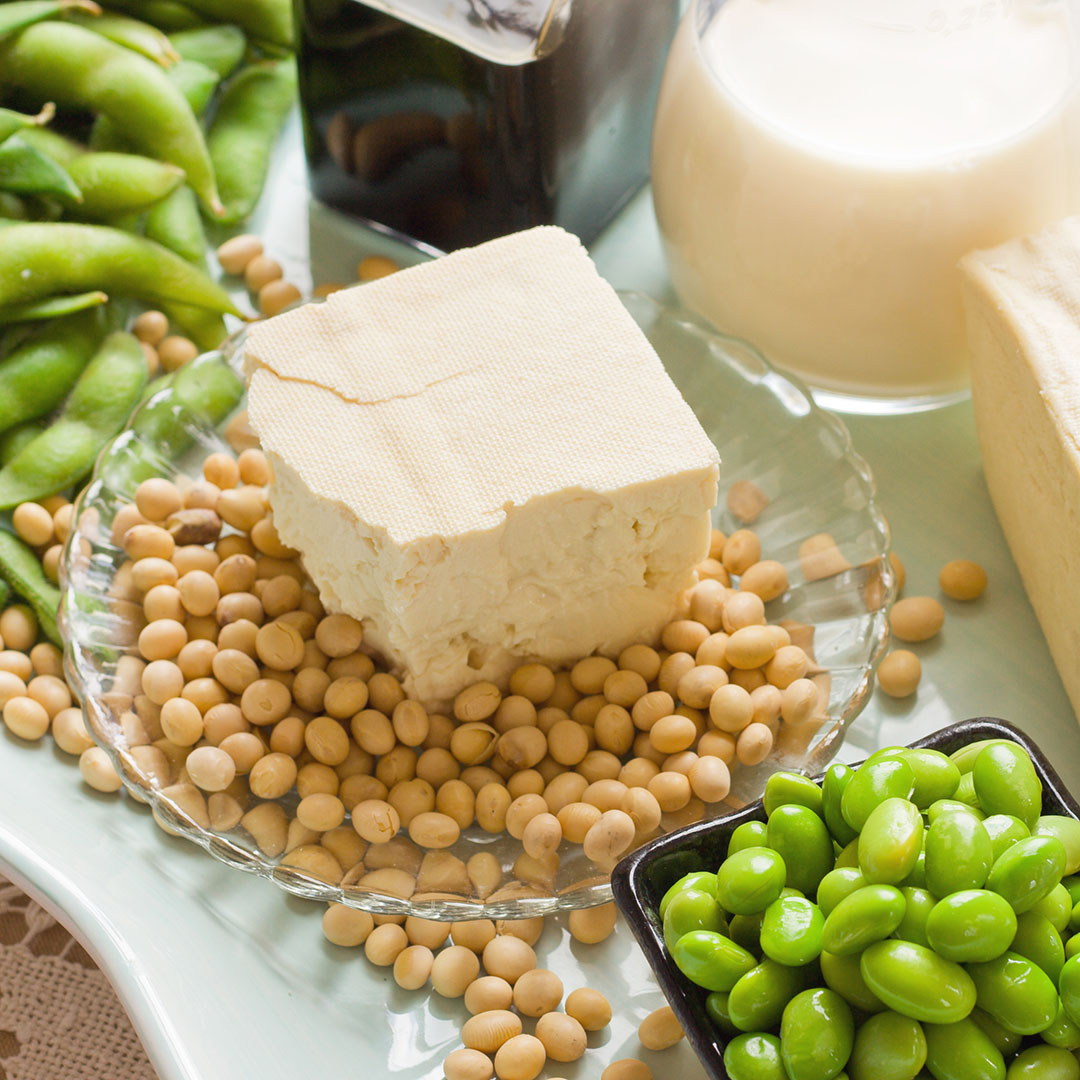 Various soy foods like tofu and soy milk in an arrangement
