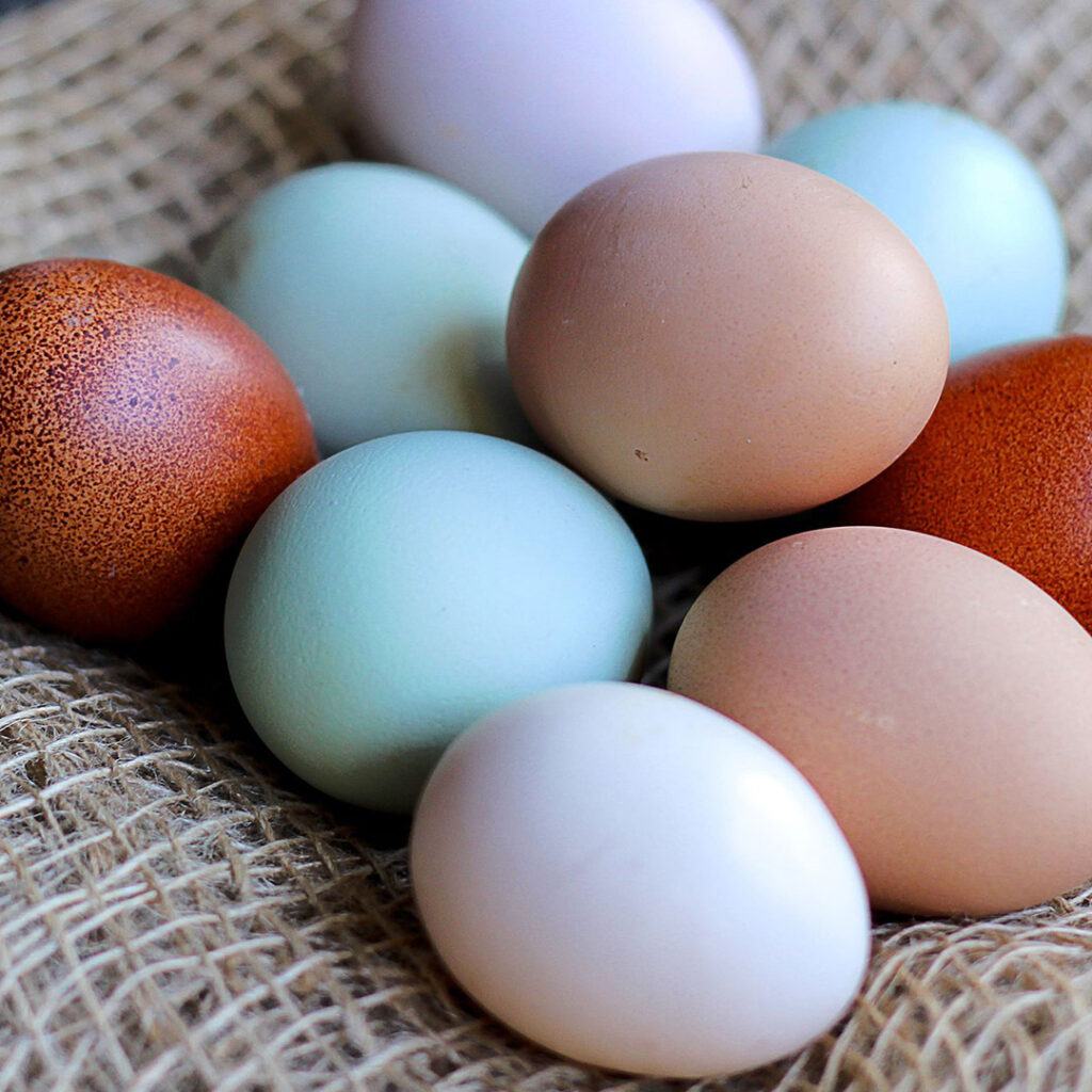 Image of different colored eggs on a burlap cloth