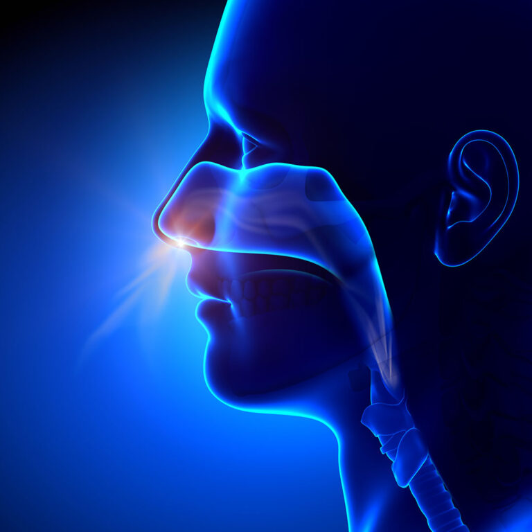 Illustration in deep blue showing a side view of a person breathing in through their nasal passage.
